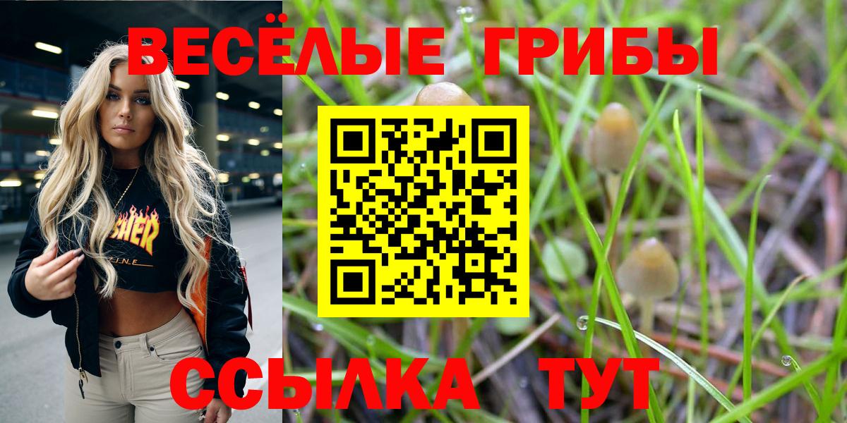 Галлюциногенные грибы Magic Shrooms  Вход с VPN  Углич 