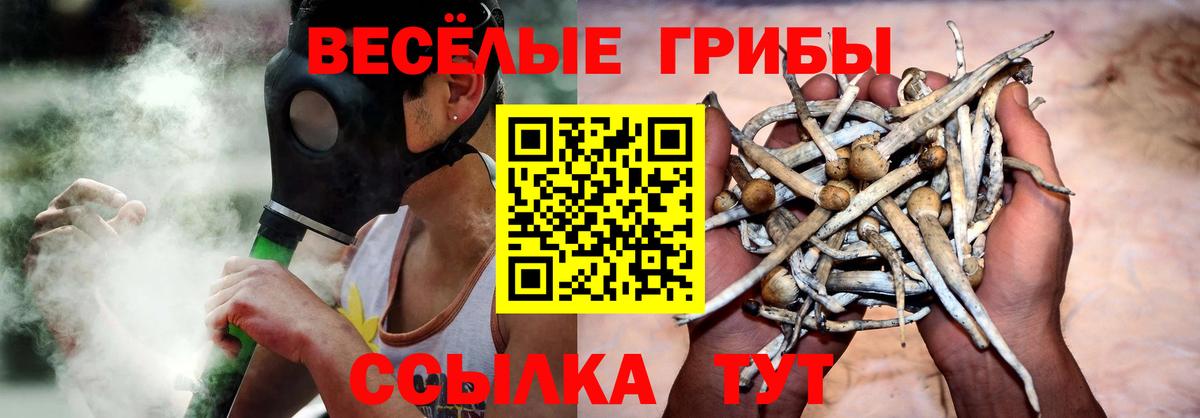 Псилоцибиновые грибы GOLDEN TEACHER Углич